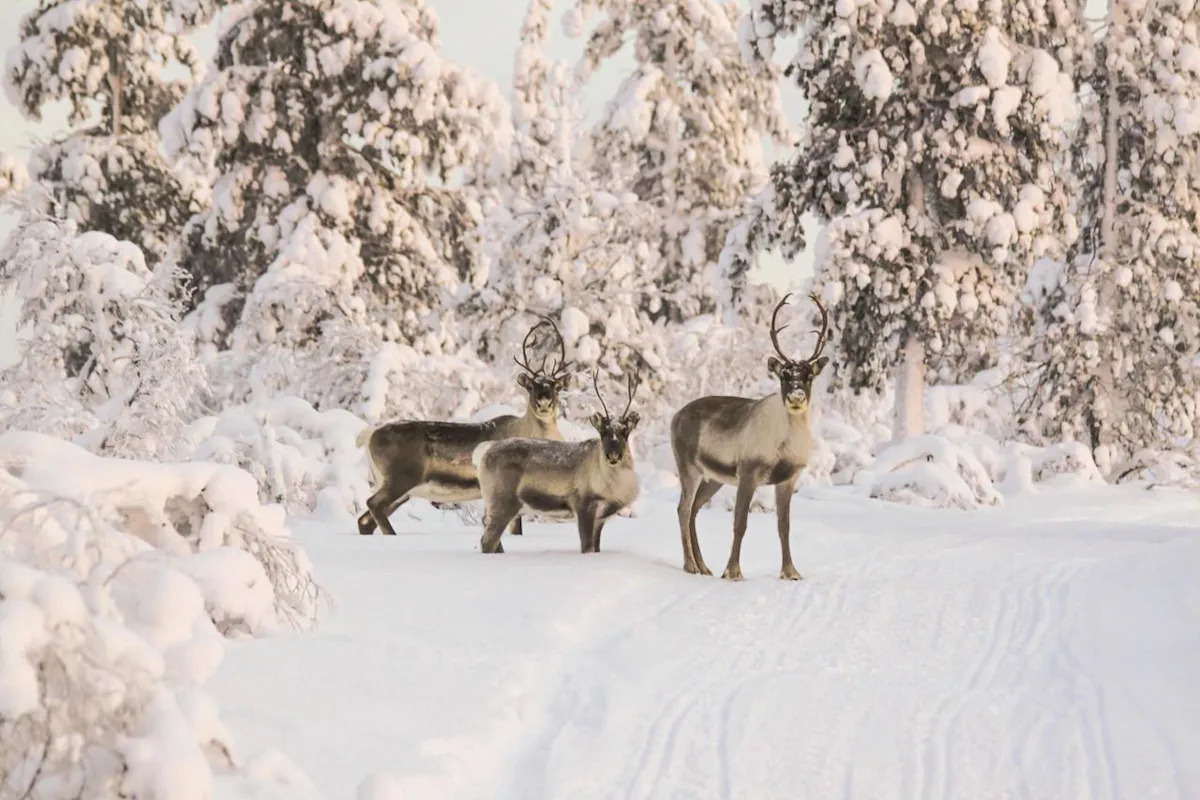 Page d'accueil Yahoo news