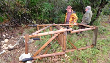comment l’abattage des miradors de chasseurs met à mal la sécurité lors des battues ?