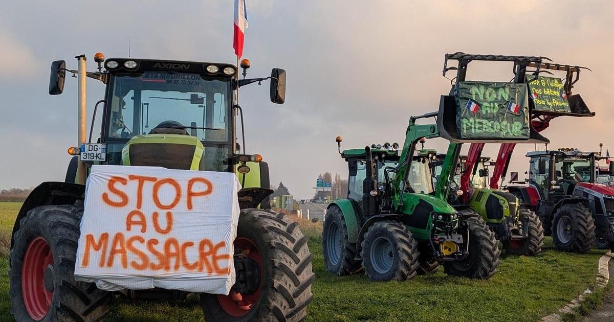 que contient vraiment le texte de l’accord UE-Mercosur ?