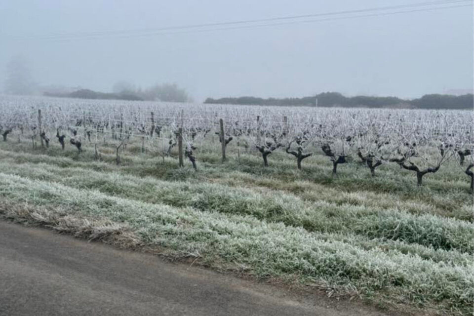 Voici Preignac (Gironde), ce matin.