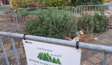 où peut-on jeter son sapin de Noël gratuitement ?