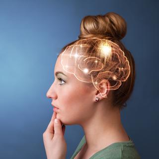 Des chercheurs de l’université Yale ont identifié dans les cerveaux de rats, trois circuits engagés dans la prise de décision. © ra2 studio, Fotolia