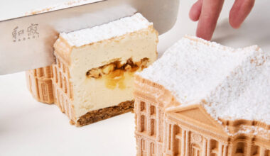 Bûche capitole de Toulouse