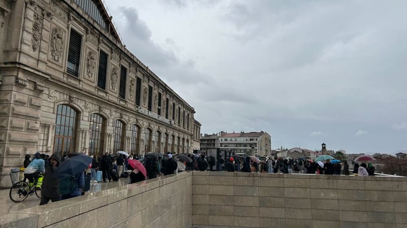 L'activité de la gare Saint-Charles de Marseille a été fortement perturbée ce lundi 22 décembre en raison de plusieurs bagages abandonnés dans l'après-midi.