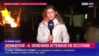 Dermatose : Anne Genevard attendue de pied ferme en Occitanie, des blocages sur l'A64