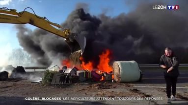 Dermatose nodulaire : la colère des agriculteurs