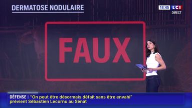 Dermatose nodulaire : le vrai du faux