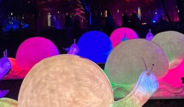 Drones, lanternes géantes et balades féeriques, découvrez cinq parcours lumineux incontournables en Île-de-France