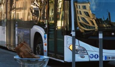retour à la normale pour la circulation des bus