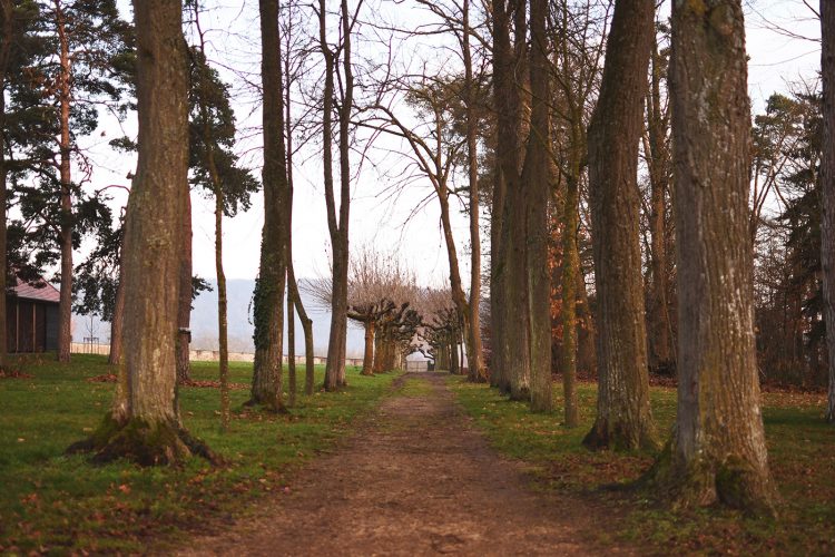 Domaine Château Leonardsau Obernai (12)