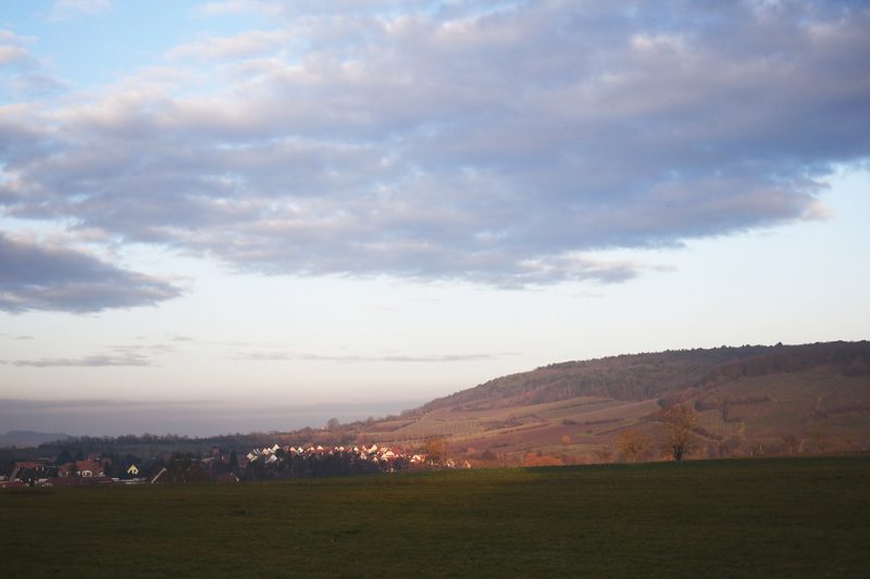 vosges Domaine Château Leonardsau Obernai (4)