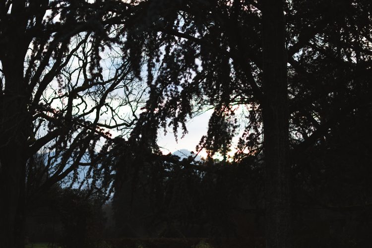 Domaine Château Leonardsau Obernai (49)