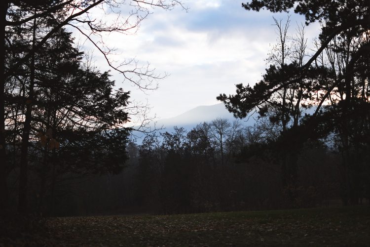 Domaine Château Leonardsau Obernai (53)