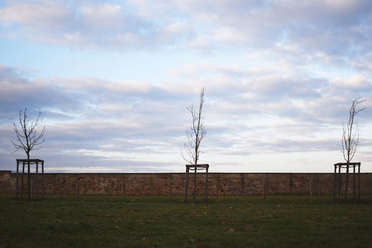 Domaine Château Leonardsau Obernai (54)
