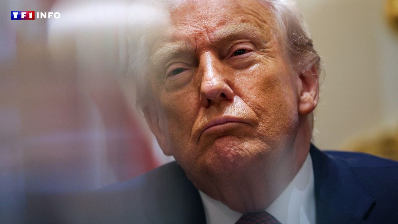 Ukraine : "en colère", Trump critique l'attaque présumée de Kiev contre la résidence de Poutine
