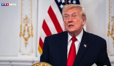 EN DIRECT - Guerre en Ukraine : des propositions sur les concessions territoriales soumises à Donald Trump