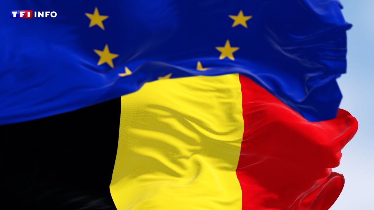 Guerre en Ukraine : pourquoi la Belgique est-elle réticente à l'idée de dégeler des avoirs russes ?