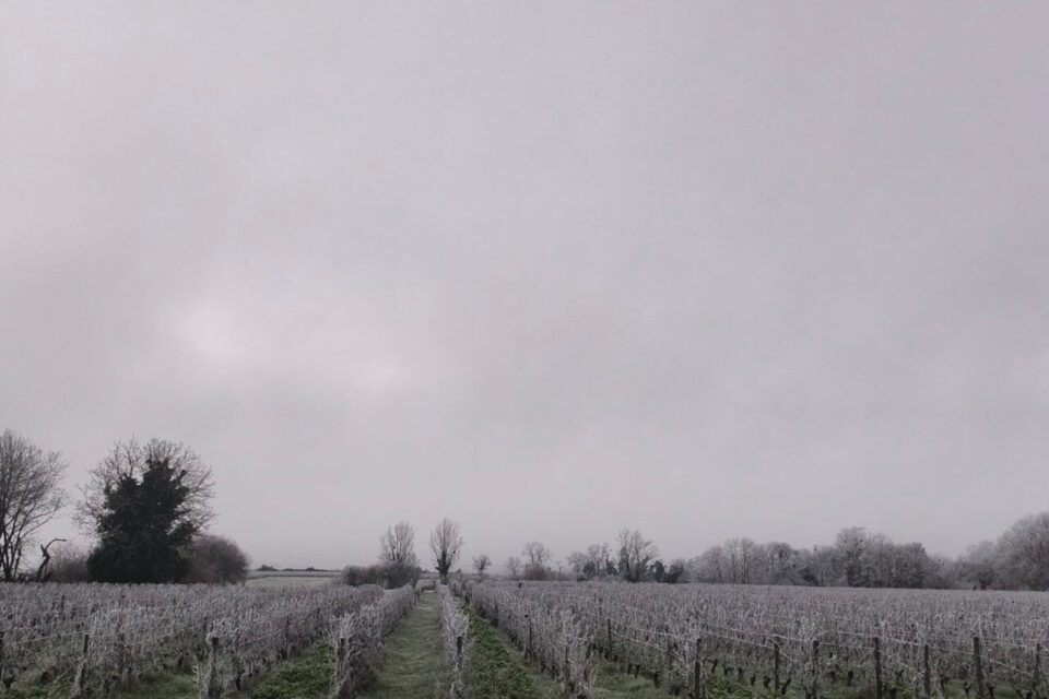Saint-Pierre-de-Mons. A l'appel du Républicain-Sud-Gironde, de nombreux lecteurs ont adressé des images de leur environnement, recouvert d'un manteau blanc.