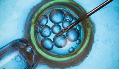 Au Royaume-Uni, des couples recourant à la FIV font classer leurs embryons pour obtenir des enfants plus intelligents