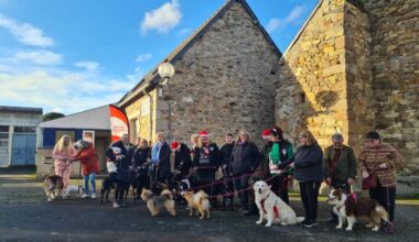 Lannion. Les chiens et les chats ont aussi eu leur Noël