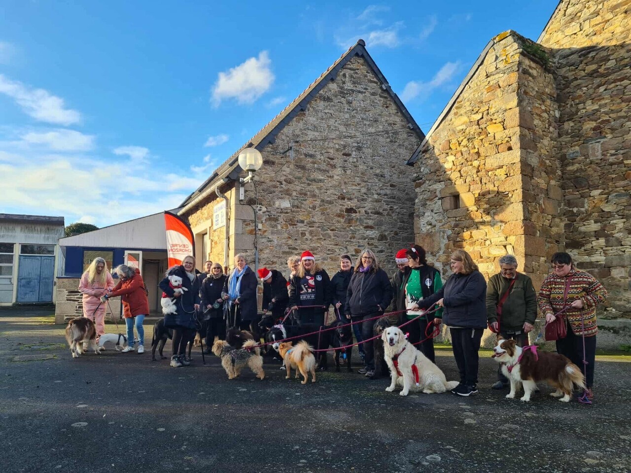 Lannion. Les chiens et les chats ont aussi eu leur Noël