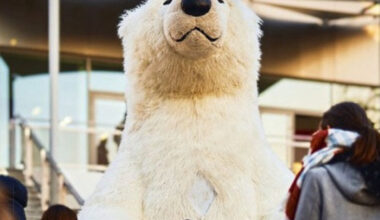 un ours géant va déambuler dans les rues du centre-ville
