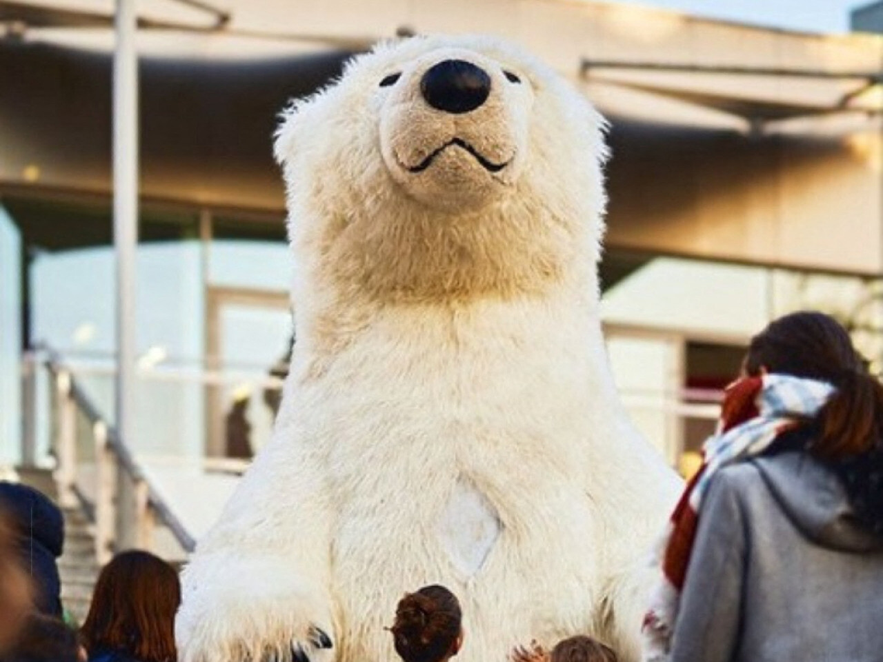 un ours géant va déambuler dans les rues du centre-ville