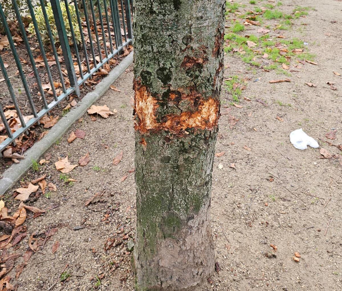 Page d'accueil Yahoo news