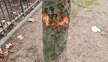 Page d'accueil Yahoo news