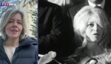 "Elle voulait choquer pour faire prendre conscience" : Wendy Bouchard se confie sur son amie Brigitte Bardot