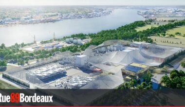 Ces cinq polémiques qui ont clivé Bordeaux et la Gironde en 2025