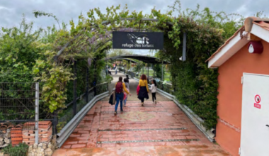 Près de Toulouse. Bessières tente de sauver l'activité du refuge des tortues qui a été fermé : voici comment