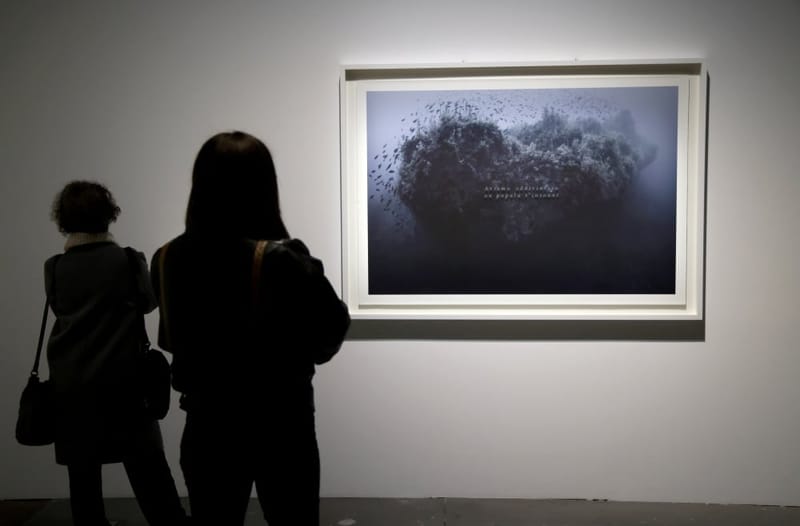 "Ferdinandea, l’île éphémère " de Clément Cogitore à découvrir au Fort Saint-Jean au Mucem.