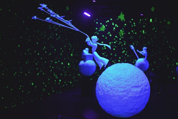 Exposition Petit Prince Saint Exupéry (6)