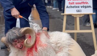 Page d'accueil Yahoo news