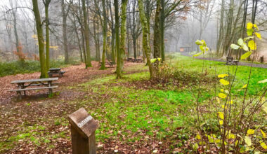 Que faire le 1er janvier autour de Lille ? Nos idées de balades et sorties