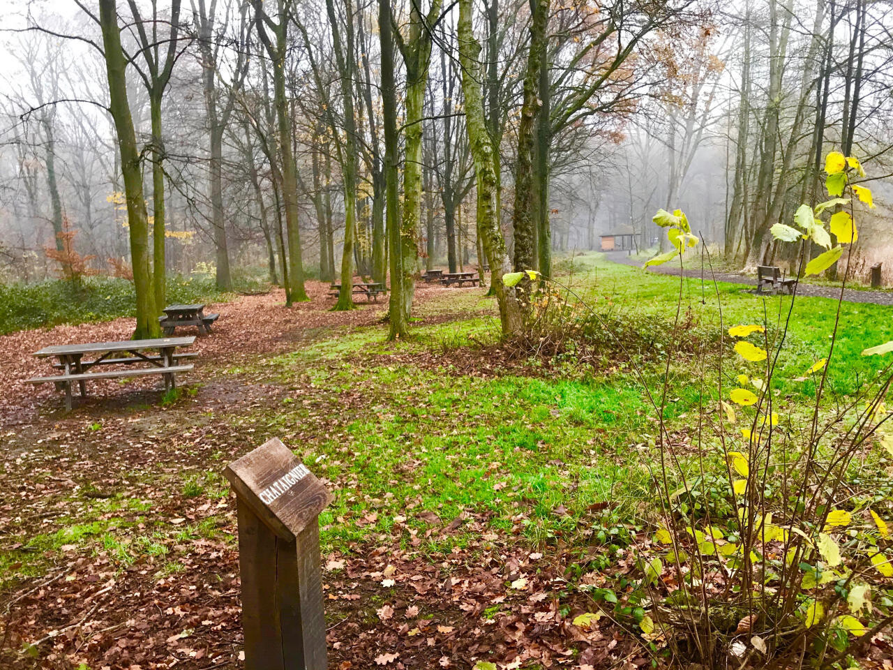 Que faire le 1er janvier autour de Lille ? Nos idées de balades et sorties