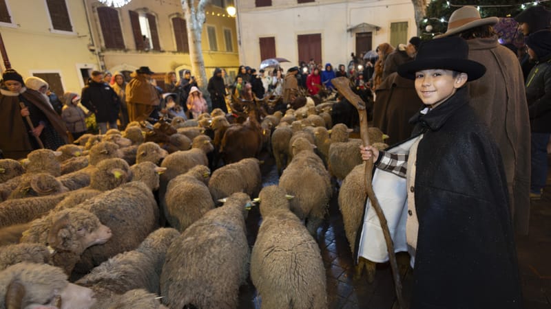 Au moins 10 000 personnes ont assisté ce mercredi 24 décembre à la descente des bergers, qui rassemblent passionnés, amateurs de folklore et curieux à Allauch.