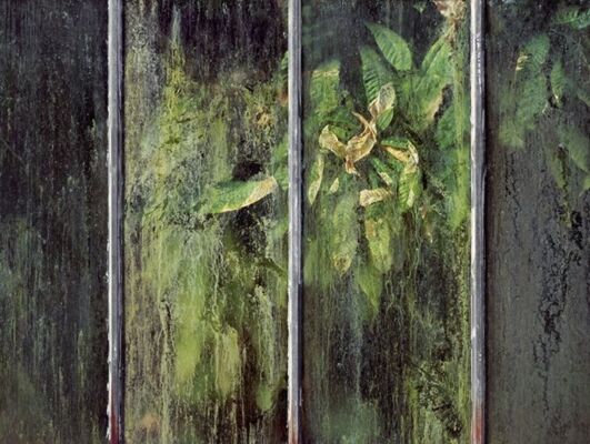 Martin_Bilinovac_Gewachshaus_III_web