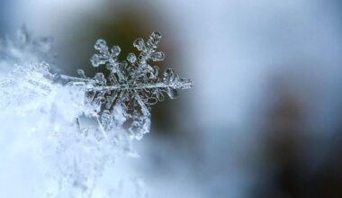 De la neige dans les Yvelines pour les fêtes ?