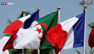 L'Algérie légifère sur "les crimes de la colonisation française" et réclame "des excuses officielles" à Paris