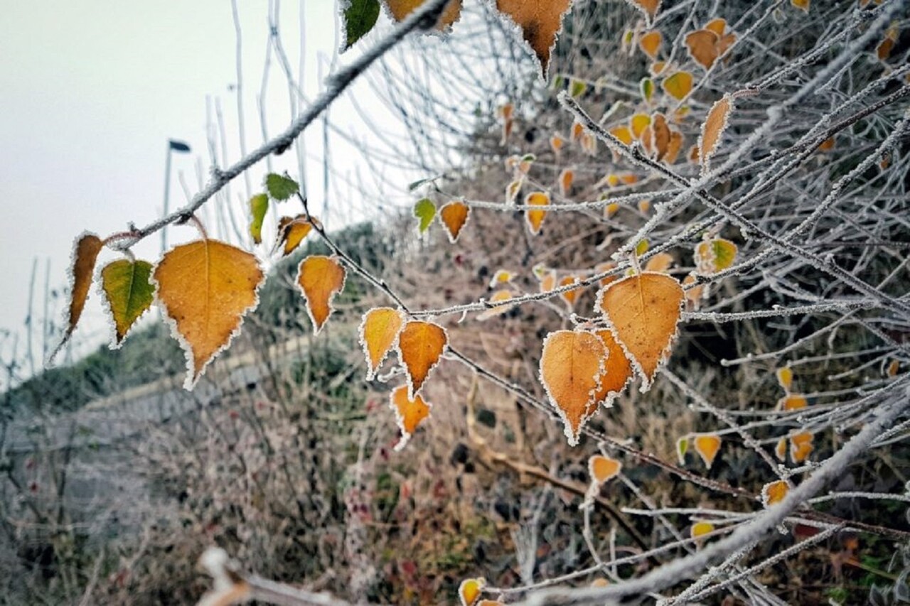 froid et neige au programme ?