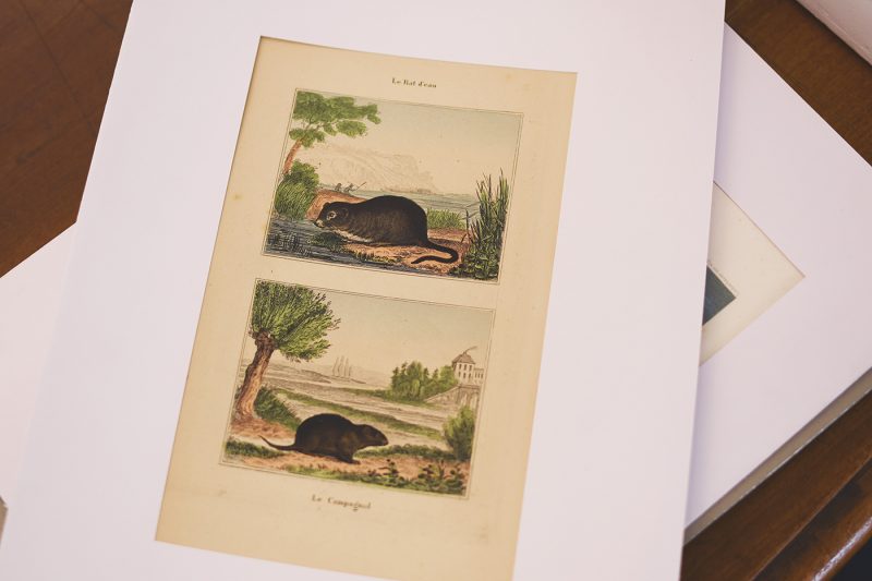 Galerie l’Estampe (26)