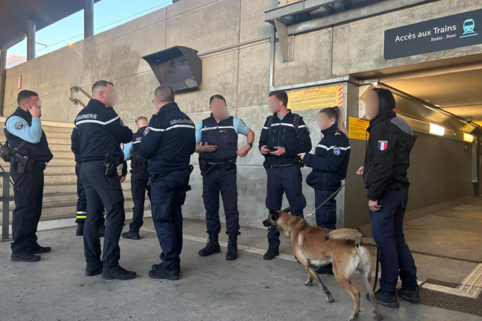 Les gendarmes procèdent à des contrôles en gare.