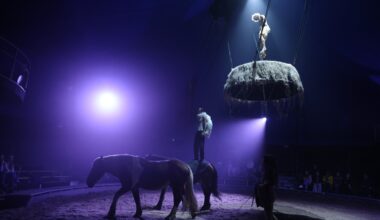 Un spectacle de cirque équestre sous chapiteau débarque à Toulouse
