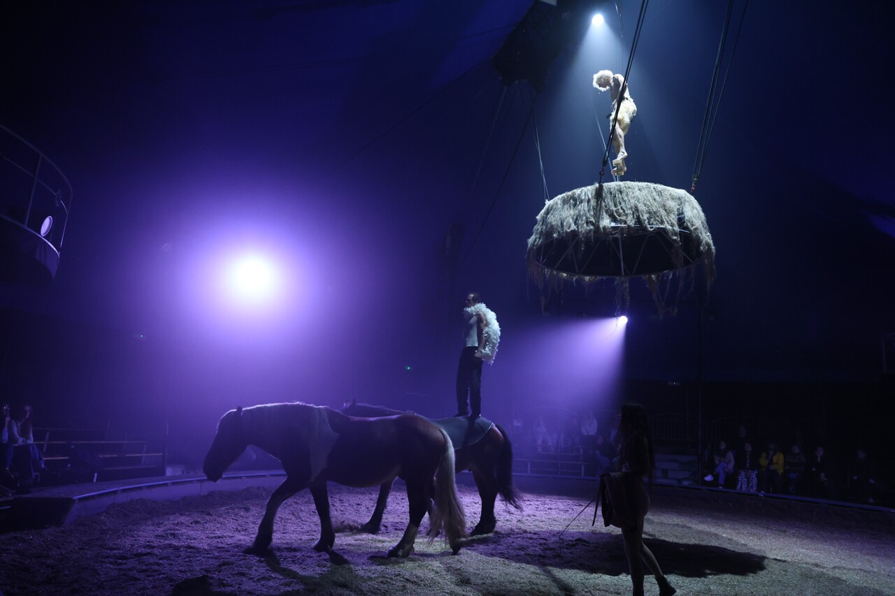 Un spectacle de cirque équestre sous chapiteau débarque à Toulouse