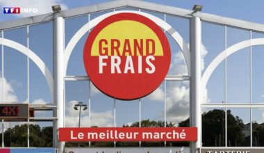 Grand Frais : plus de 3.500 recrutements attendus en France en 2026