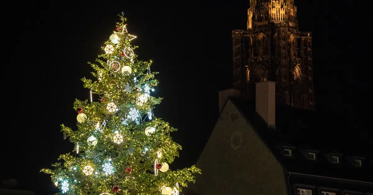 La beauté du Sapin de la Place Kléber, sous le regard de la Cathédrale