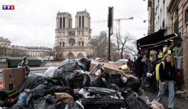 "C'est notre image" : Paris classée 5ᵉ ville la plus sale du monde