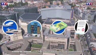 Guerre en Ukraine : l'Europe doit-elle débloquer 210 milliards d'euros ?